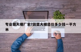 专业做大棚厂家?蔬菜大棚造价多少钱一平方米